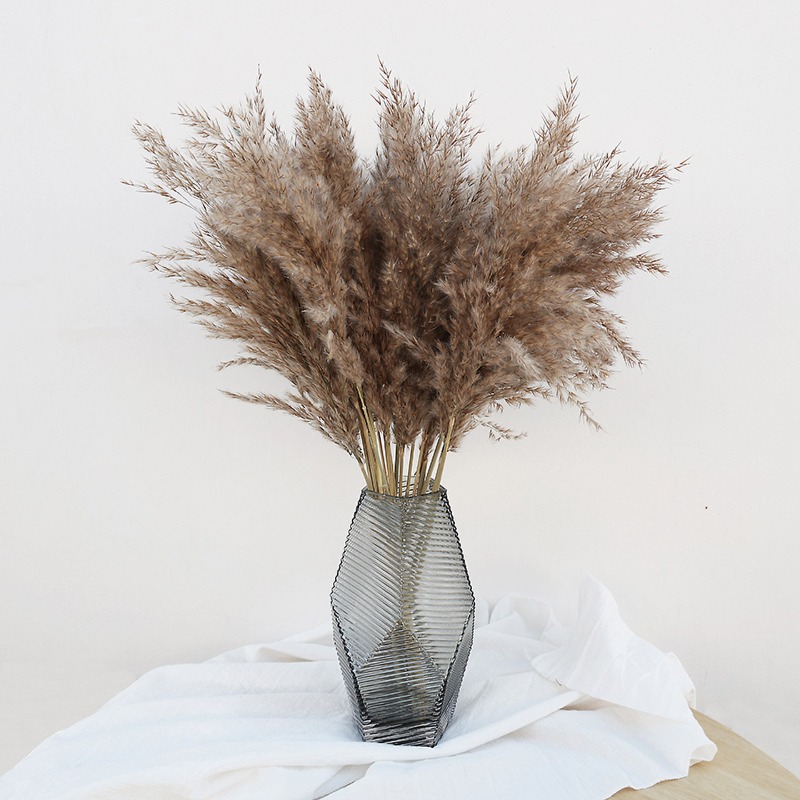 Outdoor Furniture Decor - 10Pcs Colorful Natural Reeds Pampas Grass